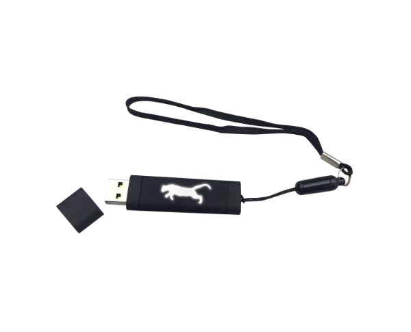 USB Bellekler